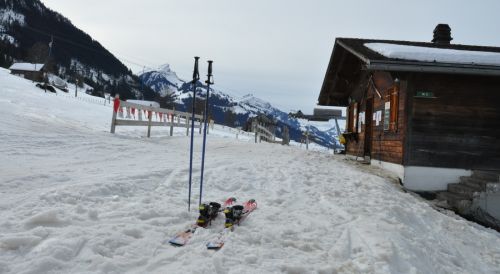 25. Februar 2010
