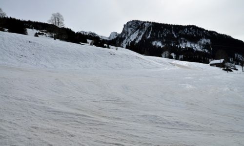 25. Februar 2010
