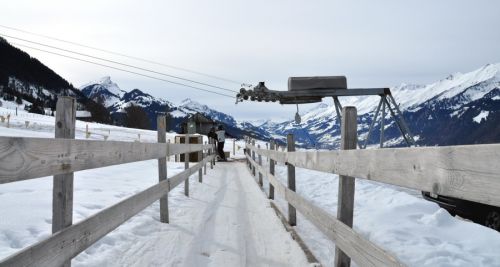 25. Februar 2010
