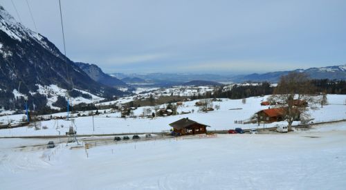 25. Februar 2010
