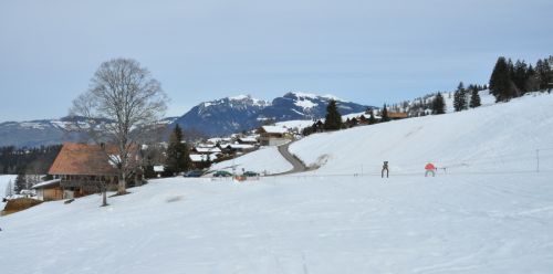 25. Februar 2010
