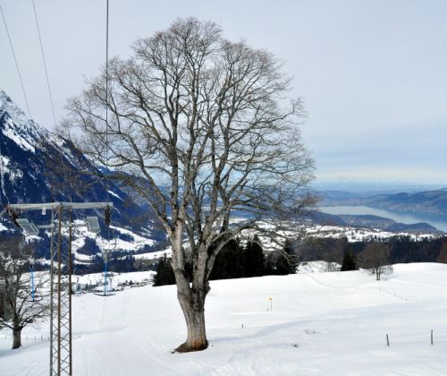25. Februar 2010
