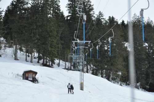 25. Februar 2010
