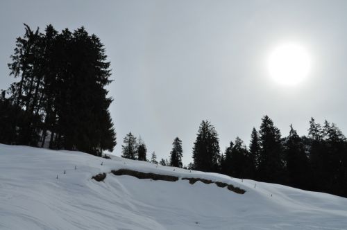 25. Februar 2010
