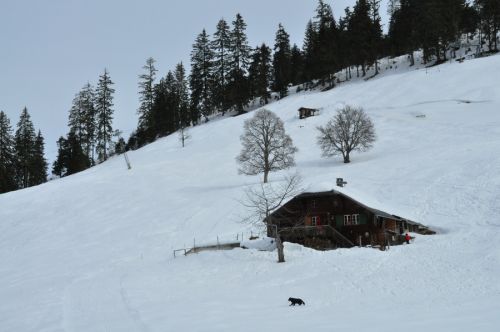 25. Februar 2010

