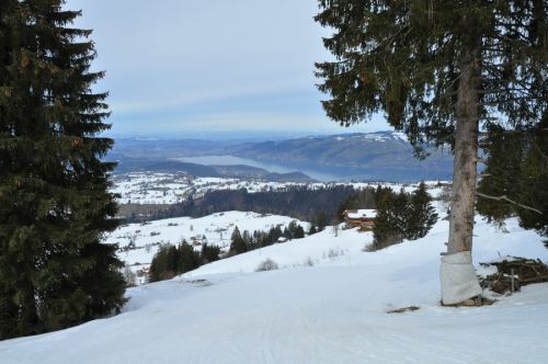 25. Februar 2010
