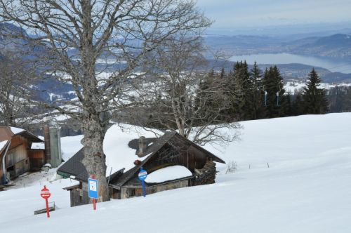 25. Februar 2010
