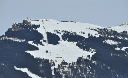 25. Februar 2010
