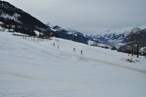 25. Februar 2010
