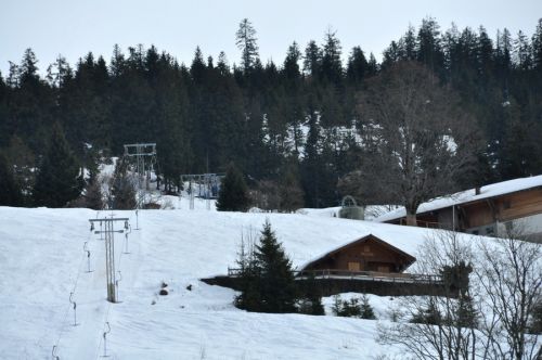 25. Februar 2010
