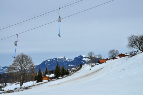 25. Februar 2010
