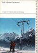 20100225-b-faltschen-0481b.jpg