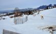 20100225-b-faltschen-0488.jpg