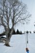 20100225-b-faltschen-0503.jpg
