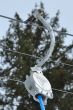 20100225-b-faltschen-0528.jpg