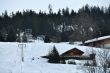 20100225-b-faltschen-0575.jpg