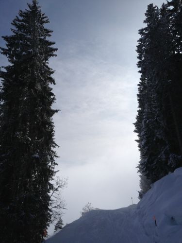 25. Februar 2013
