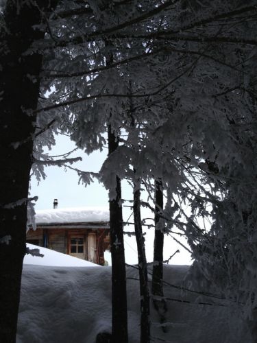 25. Februar 2013
