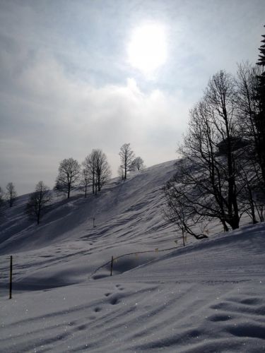 25. Februar 2013
