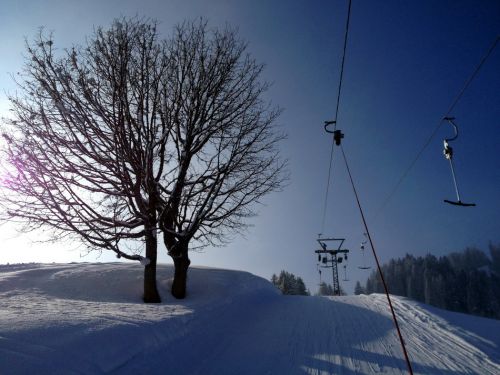 25. Februar 2013
