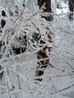 20130225-a-habkern-2120.jpg