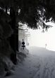 20130225-a-habkern-2123.jpg