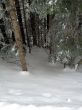 20130225-a-habkern-2124.jpg