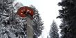 20130225-a-habkern-2127.jpg