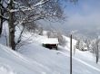 20130225-a-habkern-2148.jpg