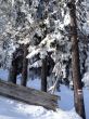 20130225-a-habkern-2212.jpg