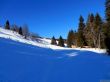20220209-habkern-021.jpg