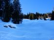 20220209-habkern-060.jpg