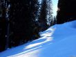 20220209-habkern-062.jpg