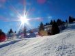 20220209-habkern-068.jpg
