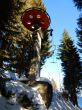 20220209-habkern-078.jpg