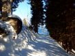 20220209-habkern-079.jpg