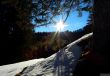 20220209-habkern-110.jpg