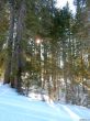 20220209-beatenberg-hohwald-040.jpg