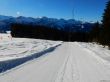 20220209-beatenberg-hohwald-054.jpg
