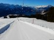 20220209-beatenberg-hohwald-075.jpg