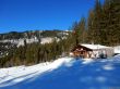 20220209-beatenberg-hohwald-135.jpg