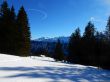 20220209-beatenberg-hohwald-151.jpg