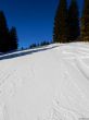 20220209-beatenberg-hohwald-153.jpg