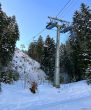 20260202-a-jaun-gastlosen-106.jpg