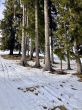 20260202-b-jaunpass-037.jpg