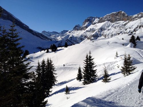 Sunnbüel, 14. Januar 2012
