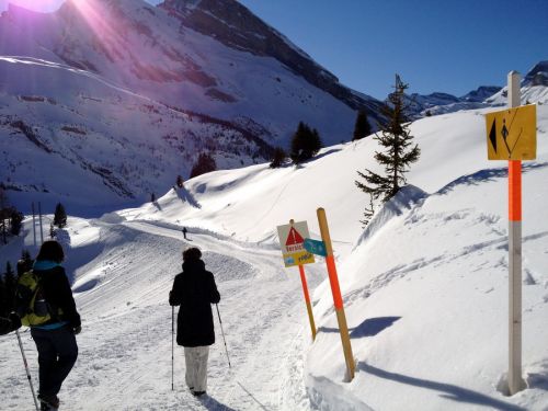 Sunnbüel, 14. Januar 2012
