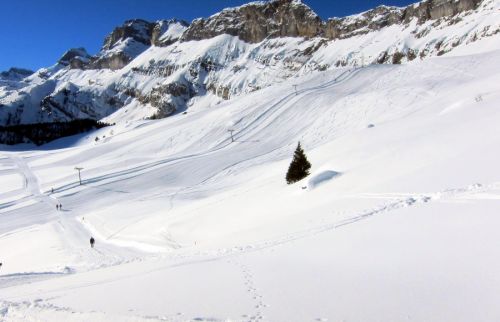 Sunnbüel, 14. Januar 2012
