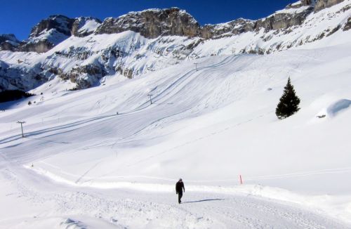 Sunnbüel, 14. Januar 2012
