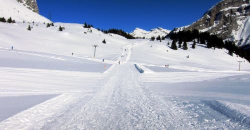 Sunnbüel, 14. Januar 2012
